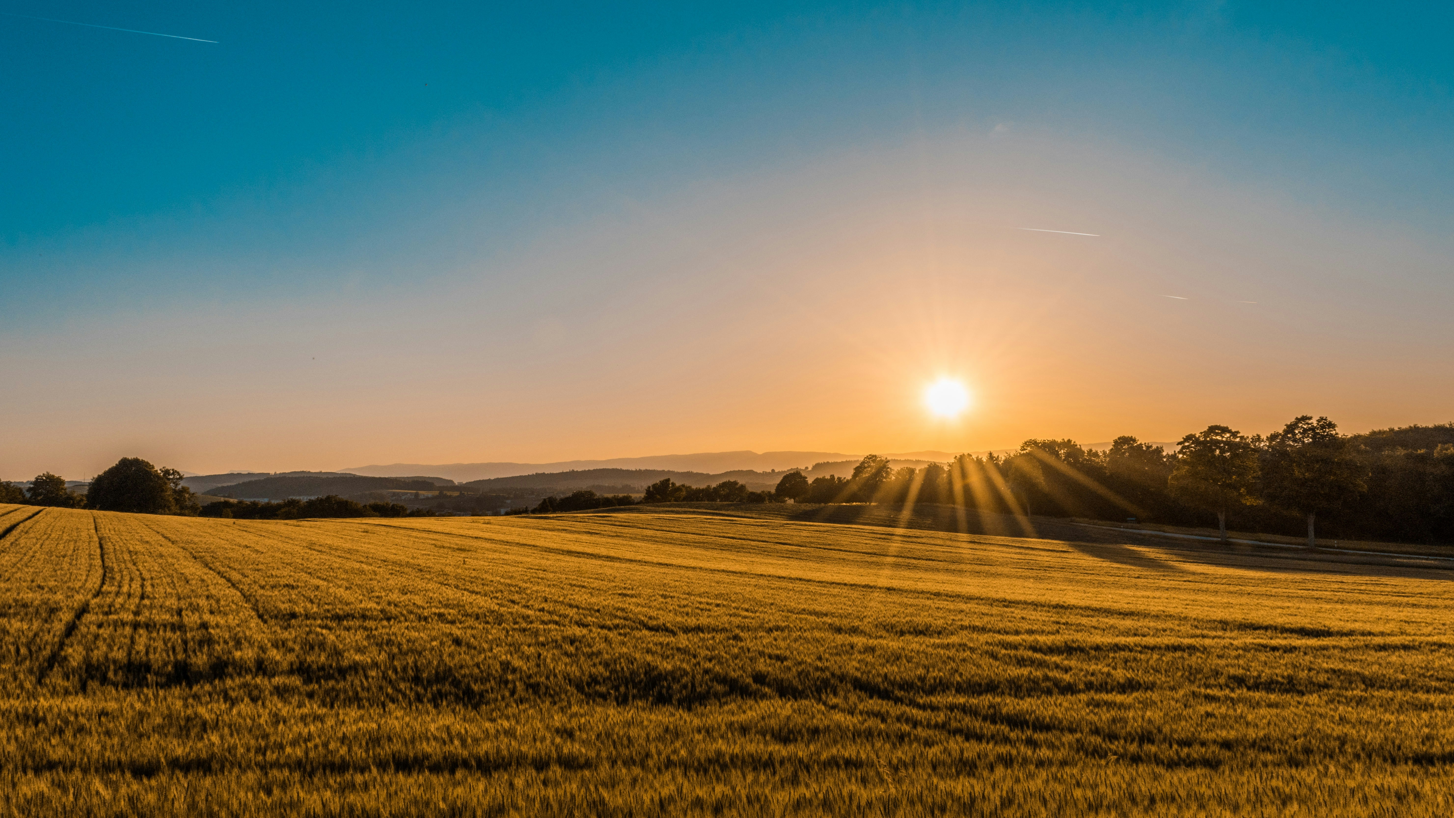 Golden sunset over rolling fields in Sonoma County