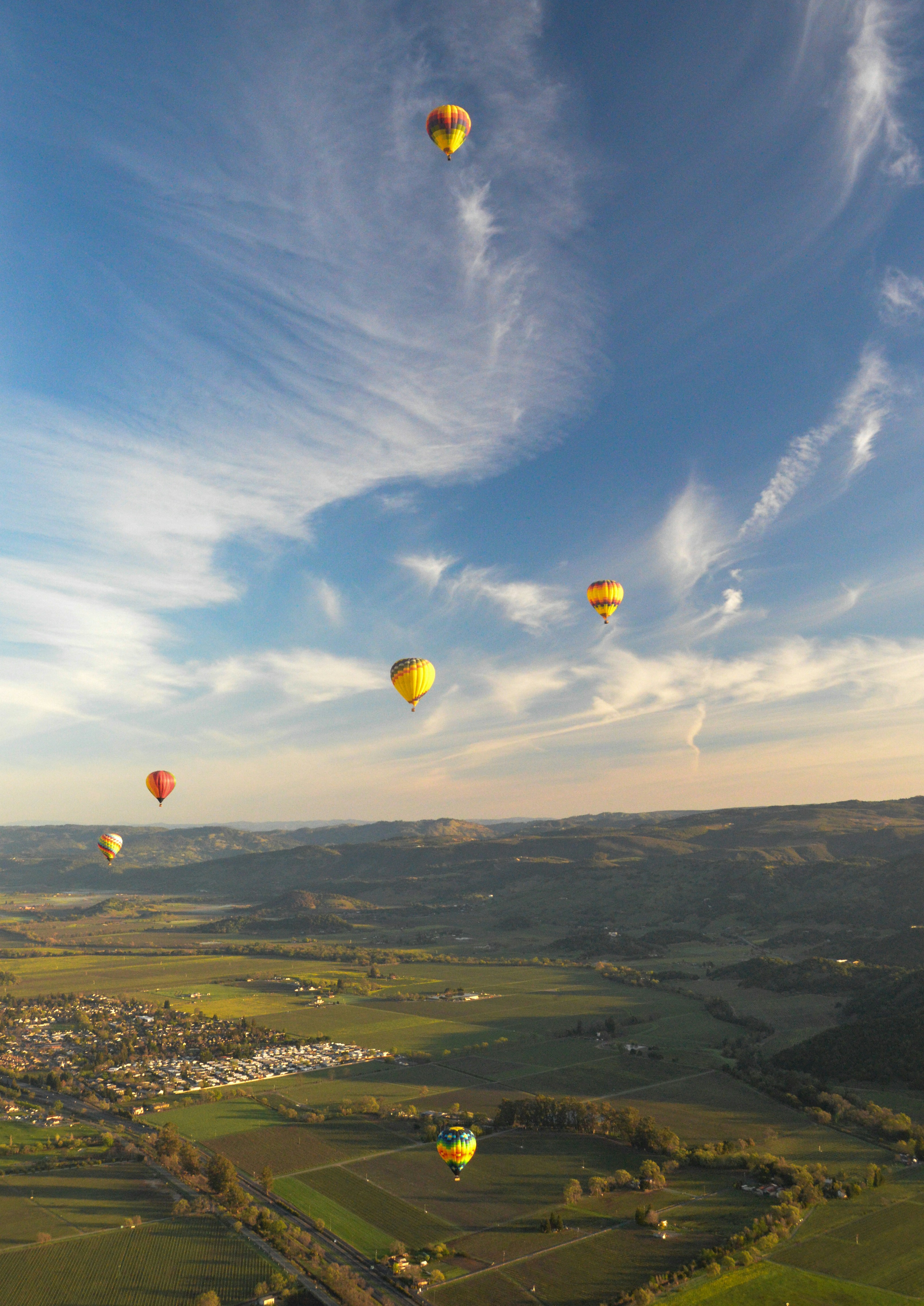 Multiple hot air balloons over Sonoma County wine country
